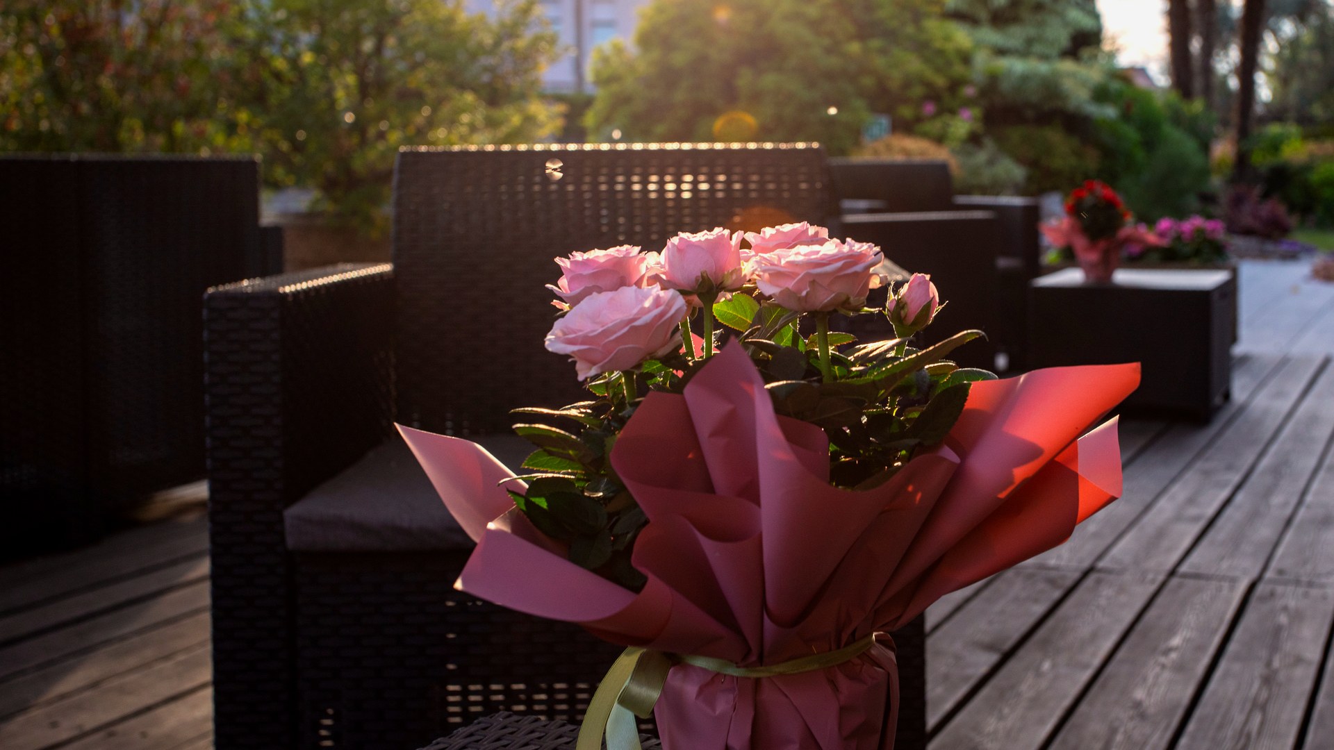 Trattoria al tramonto